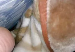 Bruna con tatuaggi lascia il suo video erotici stupro fidanzato nel culo.