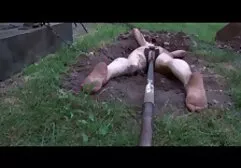 Dita amiche dildo nel culo. video erotici trans