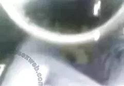 Studente dolce lecca la vagina per bagnare ragazza in video trans erotici bagno