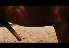 Culo gay leccare e video erotici eccitanti boss cazzo rasata