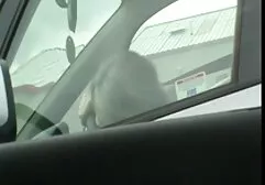 Ragazza massaggi erotici hd bianca con grandi seni succhia.